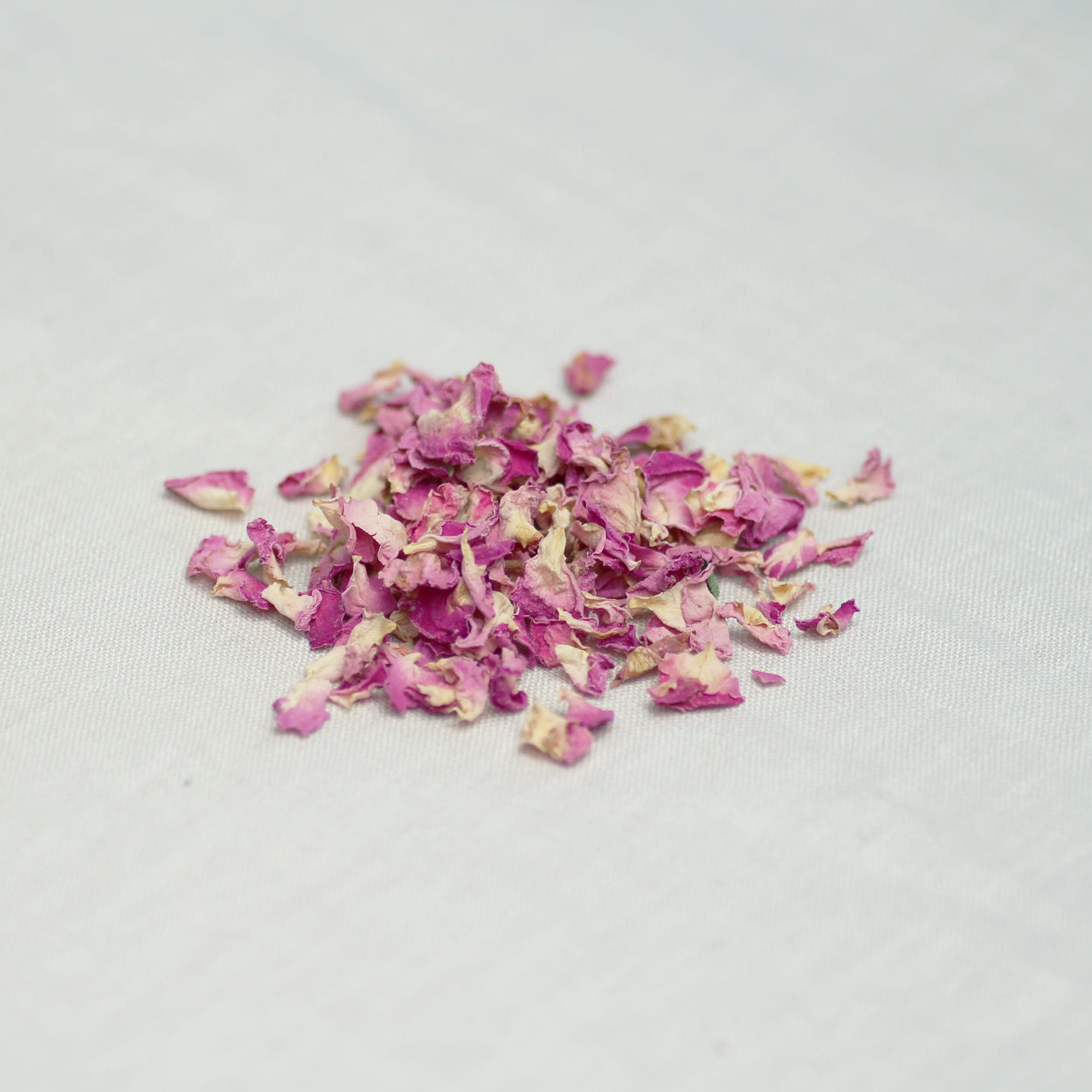 Loose Pink Rose Petals — The Hidden Way